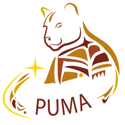 Ligne PUMA