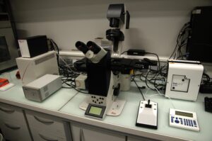 Microscope inversé